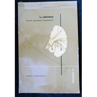 Le cerveau planches anatomiques transparentes édité par Abbott Laboratories - F019