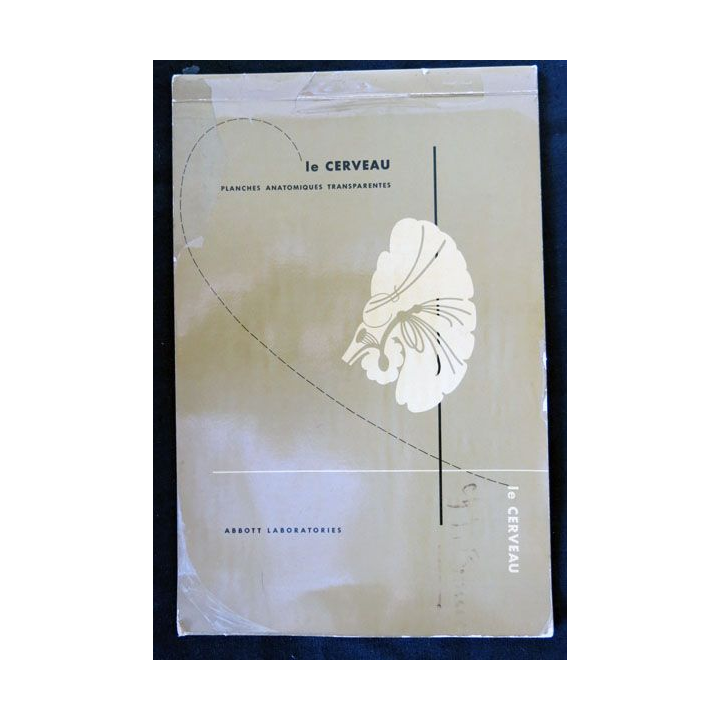 Le cerveau planches anatomiques transparentes édité par Abbott Laboratories - F019