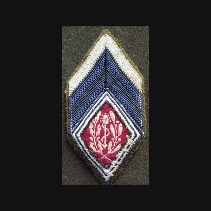 Galon de caporal chef bleu et argent service de santé MCPC Galon de caporal chef bleu et argent service de santé MCPC