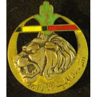 2°RTA : 2°RÉGIMENT DE TIRAILLEURS ALGÉRIENS (MÉDAILLE MILI + LH)