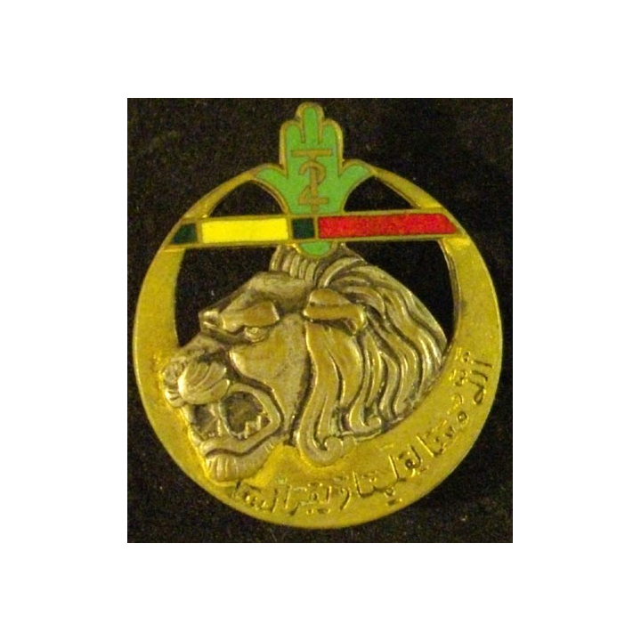 2°RTA : 2°RÉGIMENT DE TIRAILLEURS ALGÉRIENS (MÉDAILLE MILI + LH)