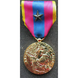 médaille de la défense nationale modèle or avec citation (1 étoile bronze)
