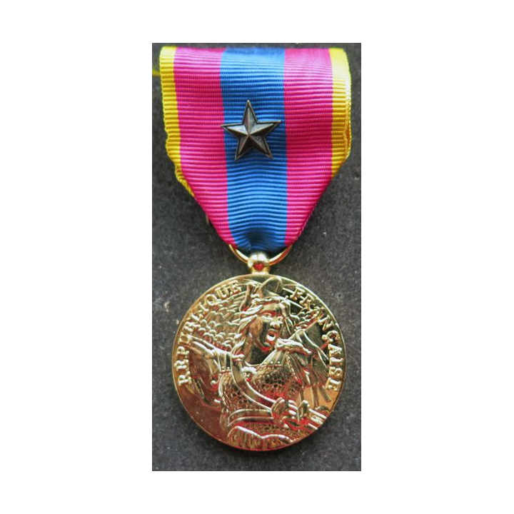 médaille de la défense nationale modèle or avec citation (1 étoile bronze)