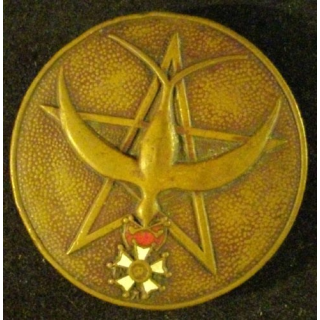 1°RTM : 1°RÉGIMENT DE TIRAILLEURS MAROC T3 ÉMAIL ÉPINGLE ABSENTE