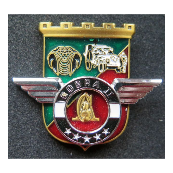 17° RGP : Unité COBRA II du 17° régiment du génie parachutiste MCPC numéroté 