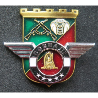 17° RGP : Unité COBRA III du 17° régiment du génie parachutiste MCPC numéroté 