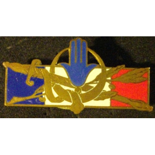 FORCES FRANÇAISES AFRIQUE DU NORD (SANS 1314) ÉMAIL