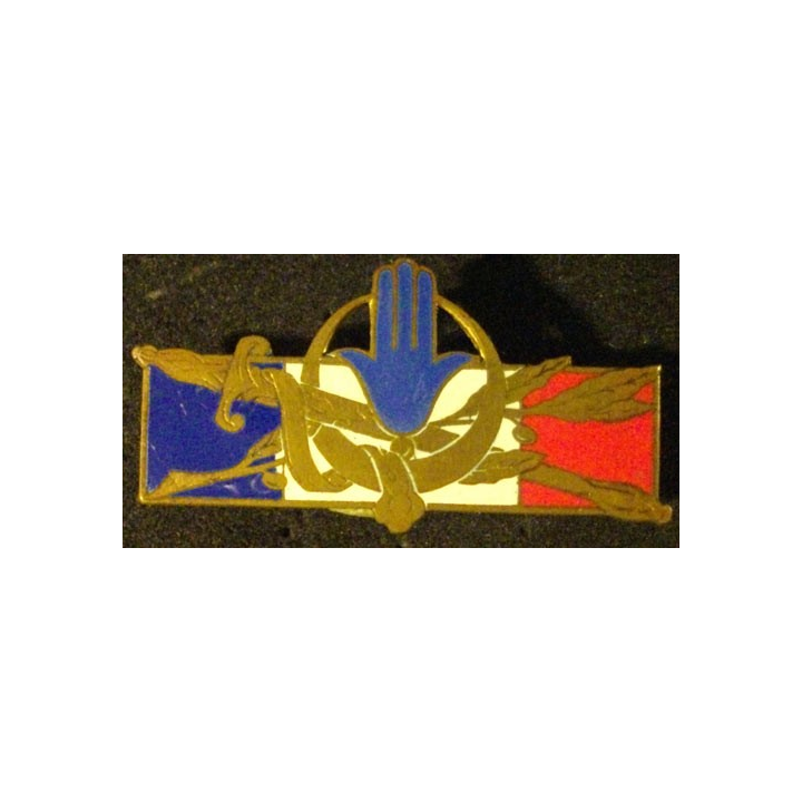 FORCES FRANÇAISES AFRIQUE DU NORD (SANS 1314) ÉMAIL