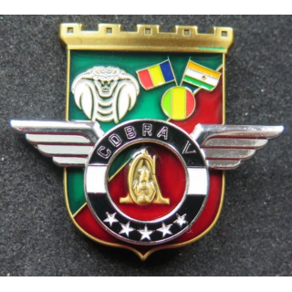 17° RGP : Unité COBRA V du 17° régiment du génie parachutiste MCPC numéroté 