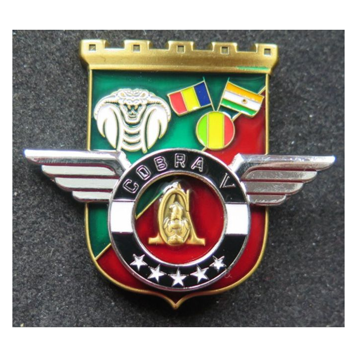 17° RGP : Unité COBRA V du 17° régiment du génie parachutiste MCPC numéroté 