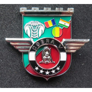 17° RGP : Unité COBRA V du 17° régiment du génie parachutiste MCPC