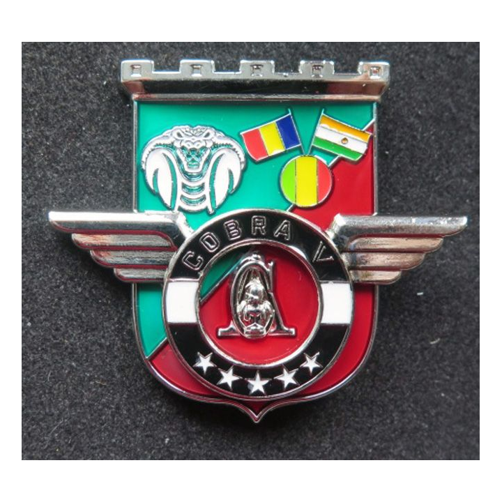 17° RGP : Unité COBRA V du 17° régiment du génie parachutiste MCPC
