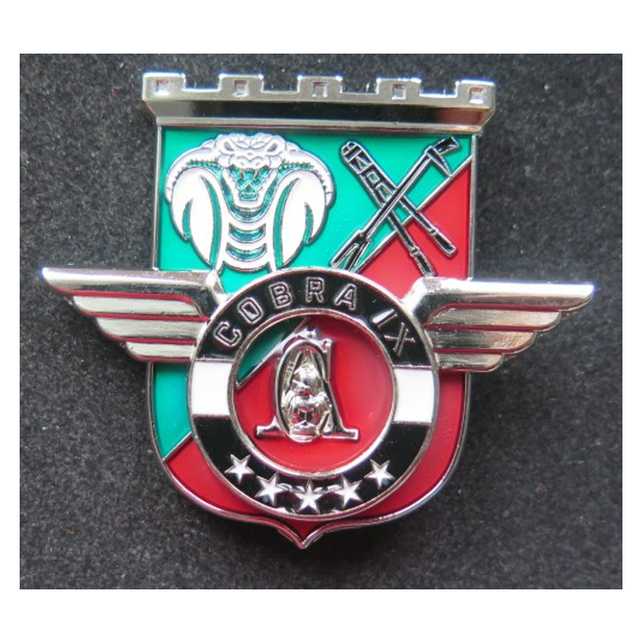 17° RGP : Unité COBRA IX du 17° régiment du génie parachutiste MCPC