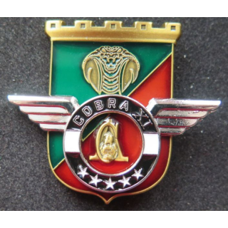 17° RGP : Unité COBRA XI du 17° régiment du génie parachutiste MCPC numéroté 