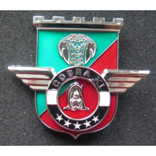 17° RGP : Unité COBRA XI du 17° régiment du génie parachutiste MCPC