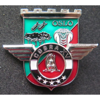 17° RGP : Unité COBRA XV du 17° régiment du génie parachutiste MCPC