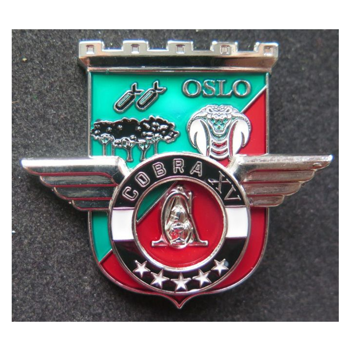 17° RGP : Unité COBRA XV du 17° régiment du génie parachutiste MCPC