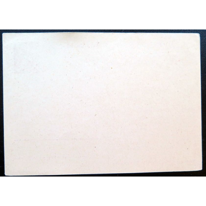 postkarte Der Führer Deutsches Reich 6 pfennig marron