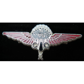 1° CIA : 1° compagnie d'infanterie de l'Air de fabrication GQ para émail
