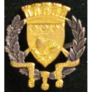 FRANCE : ROSETTE MÉTAL DE LA VILLE DE PARIS