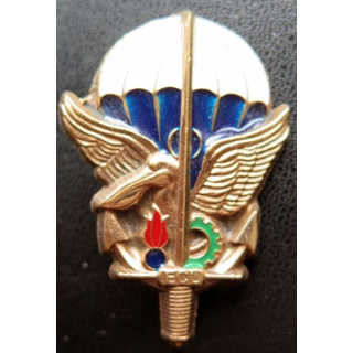 1° RTP BOMAP Escadron de commandement et de logistique ECL bronze massif