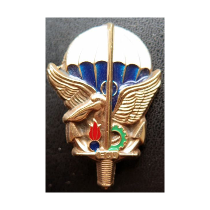 1° RTP BOMAP Escadron de commandement et de logistique ECL bronze massif