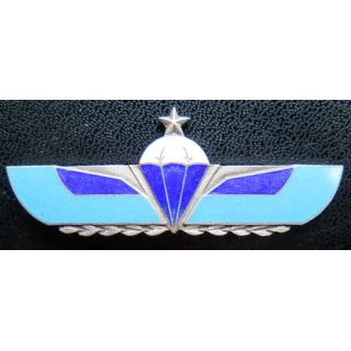 2° RPIMA : section de reconnaissance en profondeur du 2° RPIMA fabrication G & P