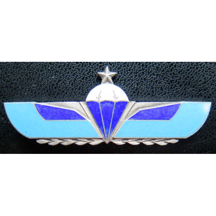 2° RPIMA : section de reconnaissance en profondeur du 2° RPIMA fabrication G & P
