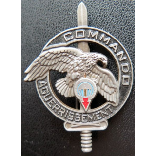 1° RPIMA : brevet d'aguerrissement commando du 1° RPIMA Arthus Bertrand