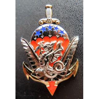 8° RPIMA : anciens des régiments parachutistes d'infanterie de marine 