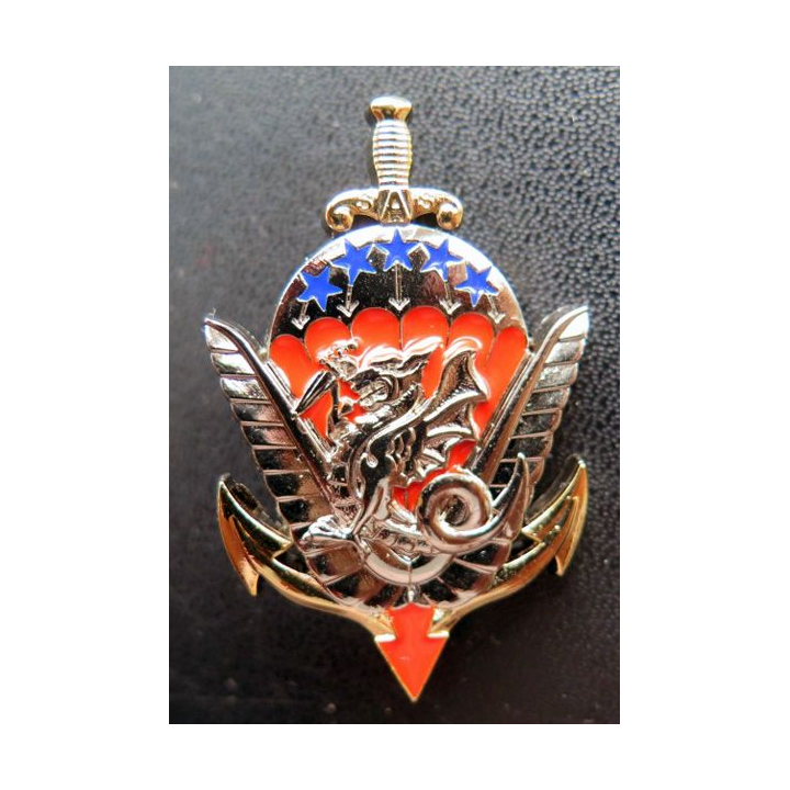 8° RPIMA : anciens des régiments parachutistes d'infanterie de marine 