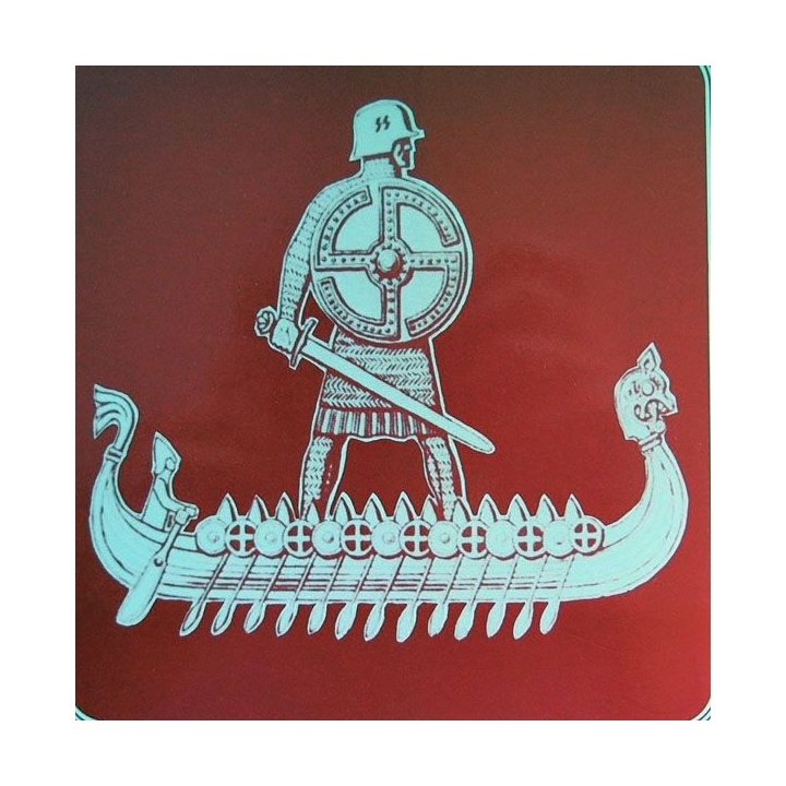 La division Wiking dans l'enfer blanc 1941-1943 écrit par Jean Mabire aux éditions Fayard
