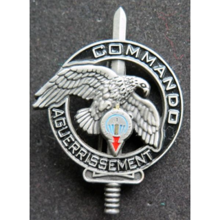 1° RPIMA : brevet d'aguerrissement commando du 1° RPIMA Arhus Bertrand