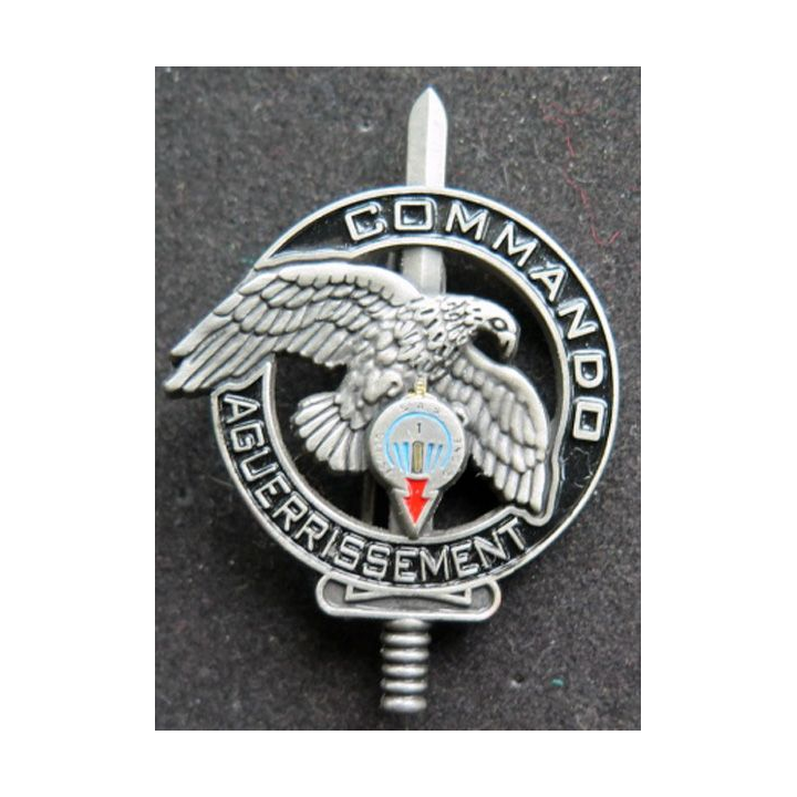 1° RPIMA : brevet d'aguerrissement commando du 1° RPIMA Arhus Bertrand