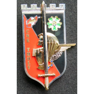 Insigne promotion OAEA-OAES Cne Tholy 2014-2015 Pichard Balme G. 5480