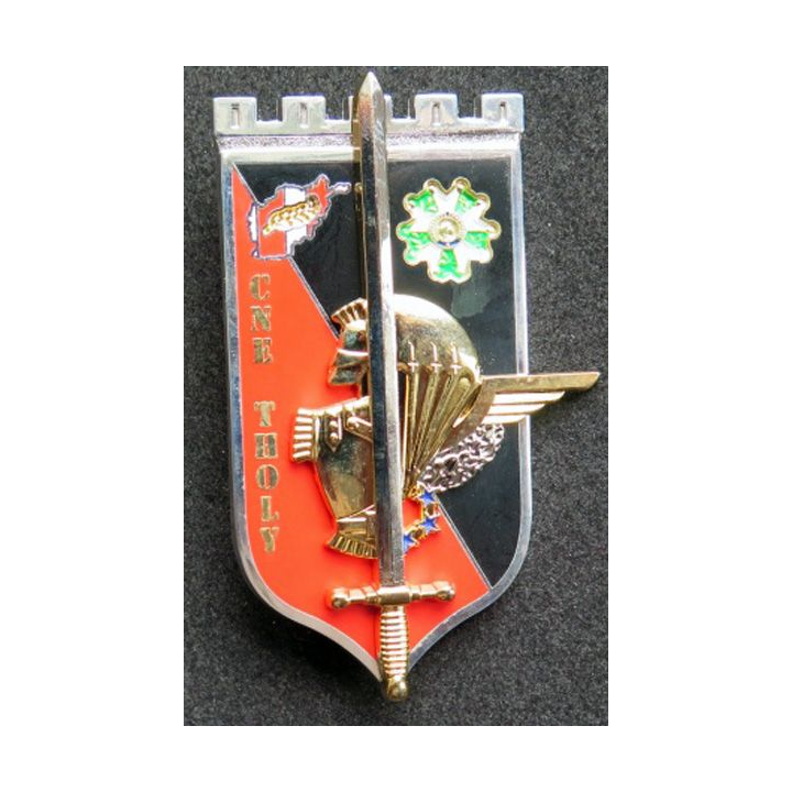 Insigne promotion OAEA-OAES Cne Tholy 2014-2015 Pichard Balme G. 5480