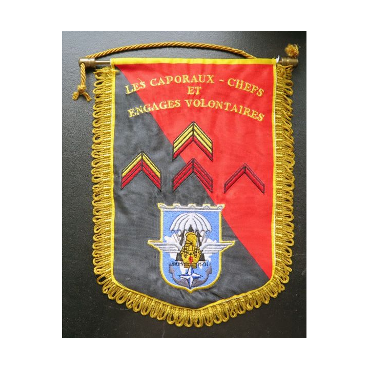 17° RGP : fanion des C/C et Engagés volontaires du 17° RGP du Bataillon logistique 25 x 18 cm
