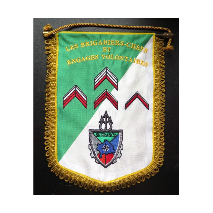 17° RGP : fanion des C/C et Engagés volontaires du 17° RGP du Bataillon logistique 25 x 18 cm