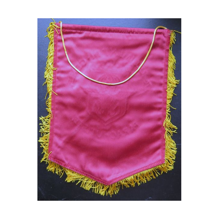 17° RGP : fanion du 17° Régiment du génie parachutiste 26 x 20 cm