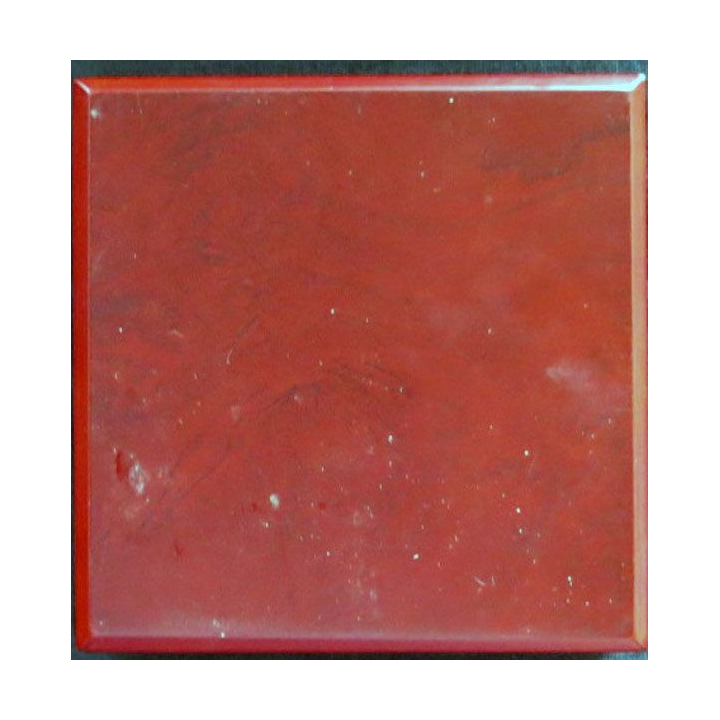 USA : Plaque souvenir de la Métropolitan Police fabrication en bronze doré  45 mm avec écrin