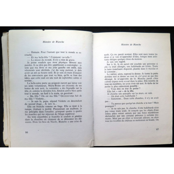 Histoire de Blanche Roman de Henri de Canterneuil 