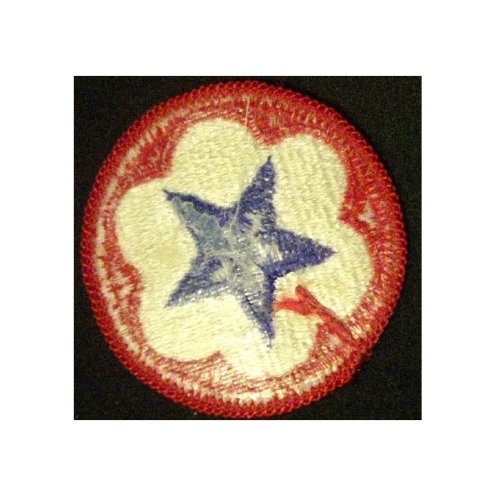 ARMY SERVICE FORCES PATCH US ARMY