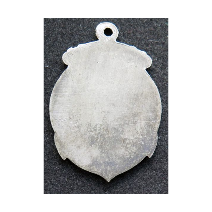 médaille de la fédération nationale de sauvetage sans ruban