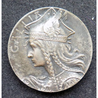 médaille du prix offert pr le délégué de l'union des sociétés de tir de France