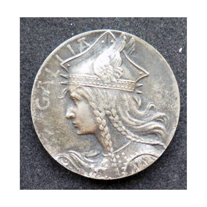 médaille du prix offert pr le délégué de l'union des sociétés de tir de France