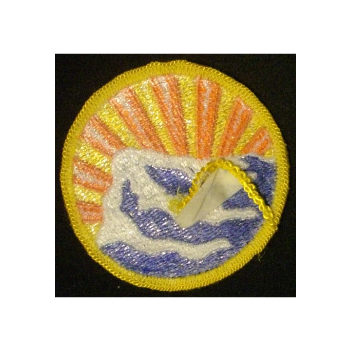 MONTANA NATIONAL GUARD STATE H.Q.s PATCH US ARMY