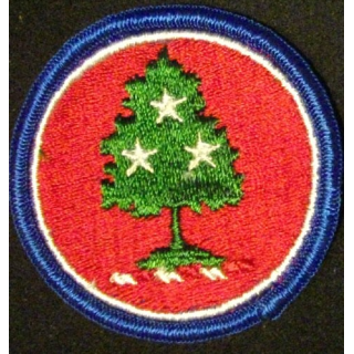 TENNESSEE NATIONAL GUARD STATE H.Q.s PATCH US ARMY