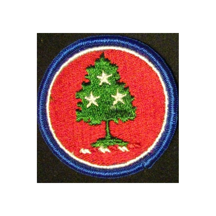 TENNESSEE NATIONAL GUARD STATE H.Q.s PATCH US ARMY