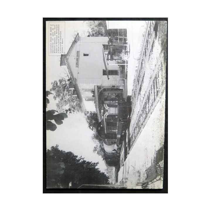 Connaissance du rail N° 55 Avril 1985 Les Editions de l'Ormet Paris