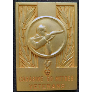 médaille en métal doré prix vétéran de carabine à 60 mètres  5,5 x 3,8 cm